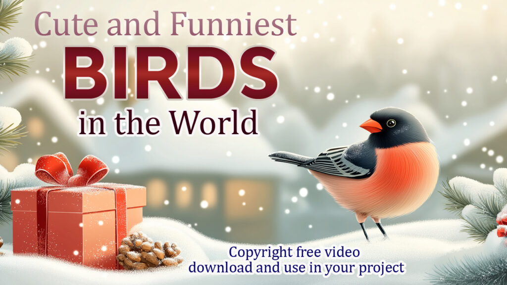 Vibrant Bird Spectacle Unfolds in Stunning 8K HDR